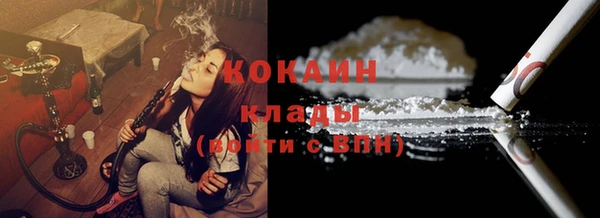 твердый Рославль