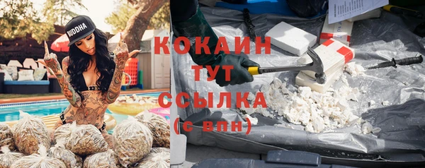 кокс Ростов
