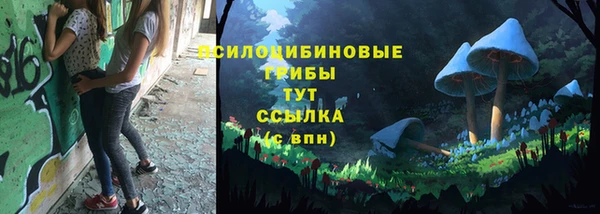 твердый Рославль