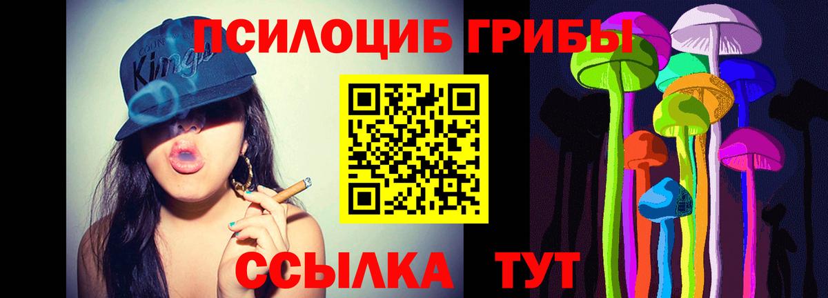 Сатка  Псилоцибиновые грибы Cubensis  закладка  Вход с VPN  Псилоцибиновые грибы GOLDEN TEACHER 