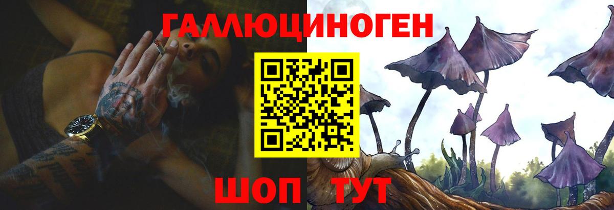 Галлюциногенные грибы Psilocybe Сатка